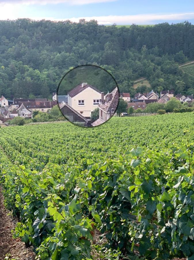 Maison De Campagne Entre Vigne Et Bois Шабли Экстерьер фото