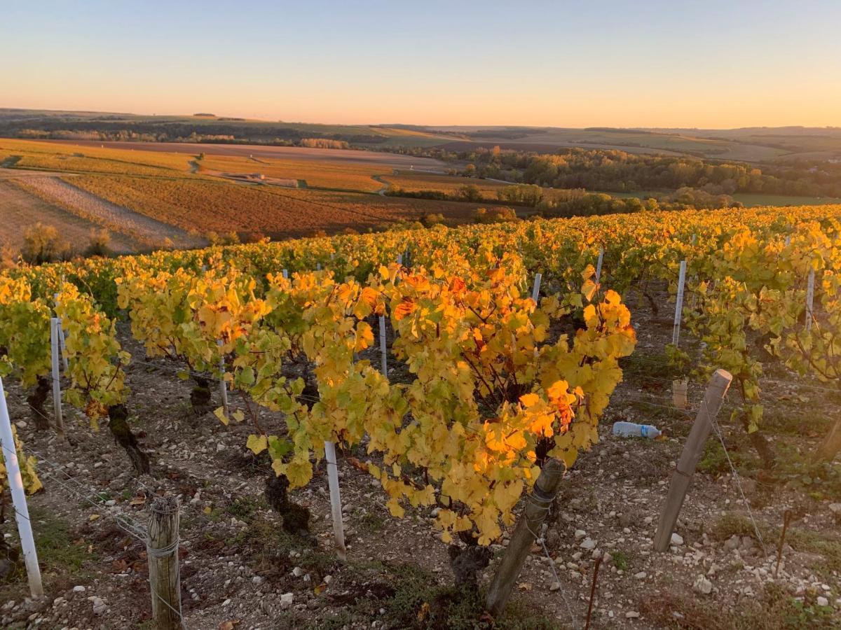 Maison De Campagne Entre Vigne Et Bois Шабли Экстерьер фото